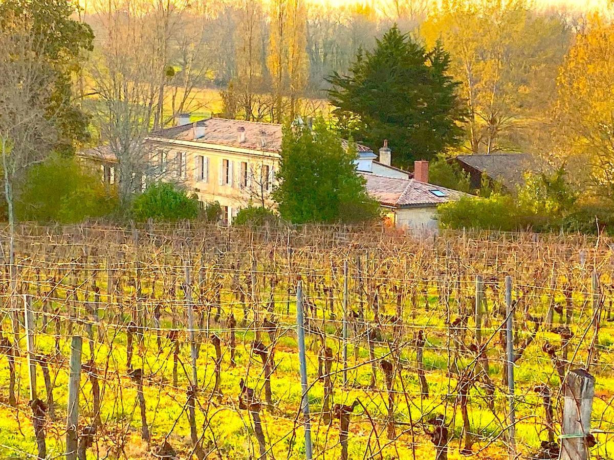Villa Fabuleux - Domaine Du Moulin D'Andraut Bordeaux-Chevaux-Golf-St Emilion Montussan Esterno foto