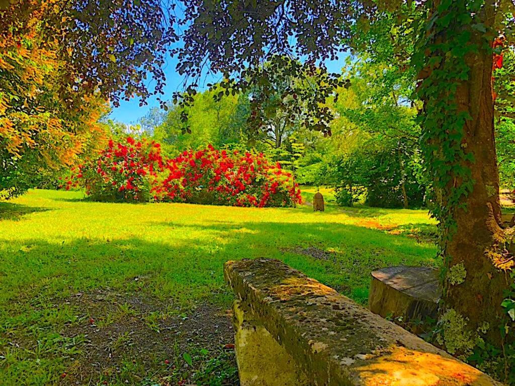 Villa Fabuleux - Domaine Du Moulin D'Andraut Bordeaux-Chevaux-Golf-St Emilion Montussan Esterno foto