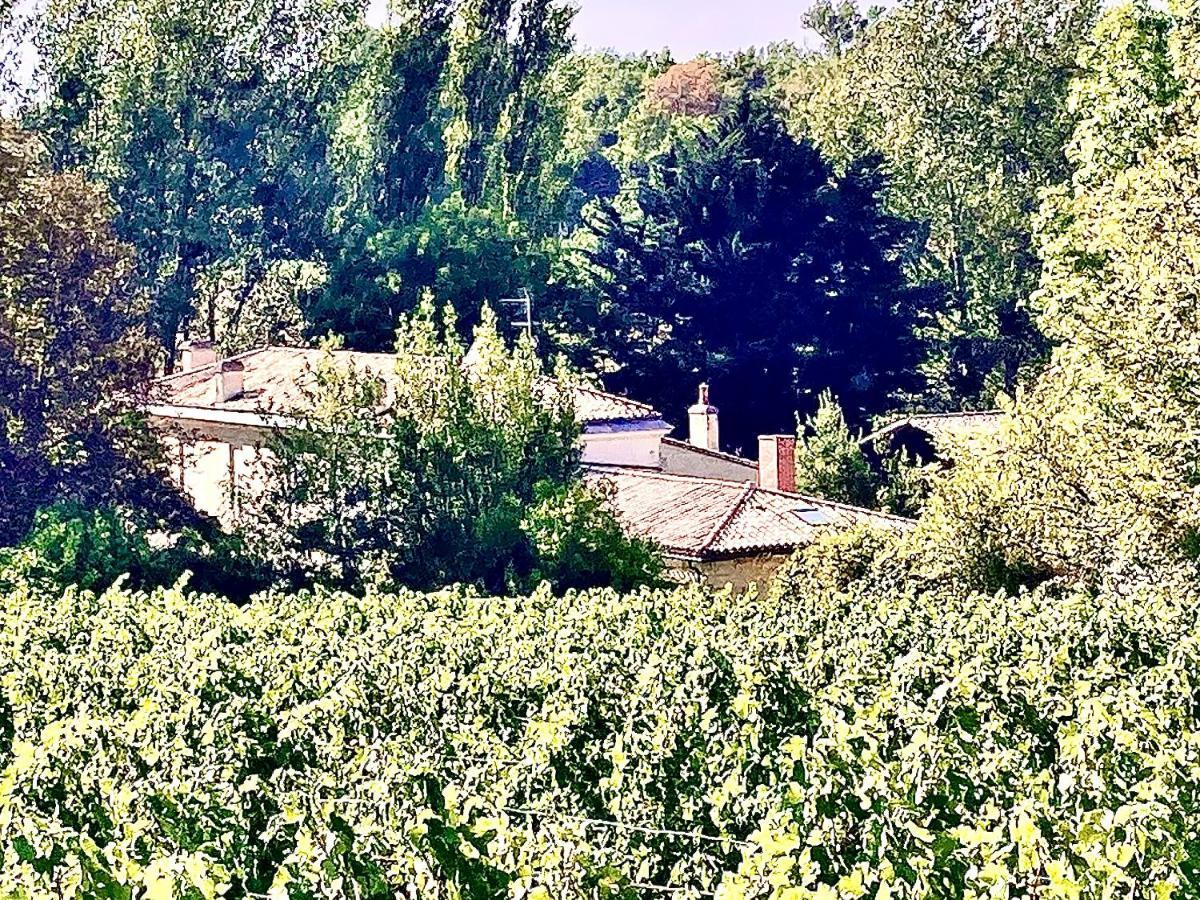 Villa Fabuleux - Domaine Du Moulin D'Andraut Bordeaux-Chevaux-Golf-St Emilion Montussan Esterno foto