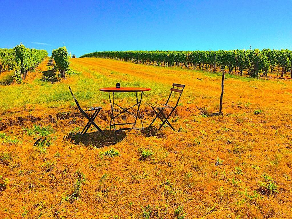 Villa Fabuleux - Domaine Du Moulin D'Andraut Bordeaux-Chevaux-Golf-St Emilion Montussan Esterno foto